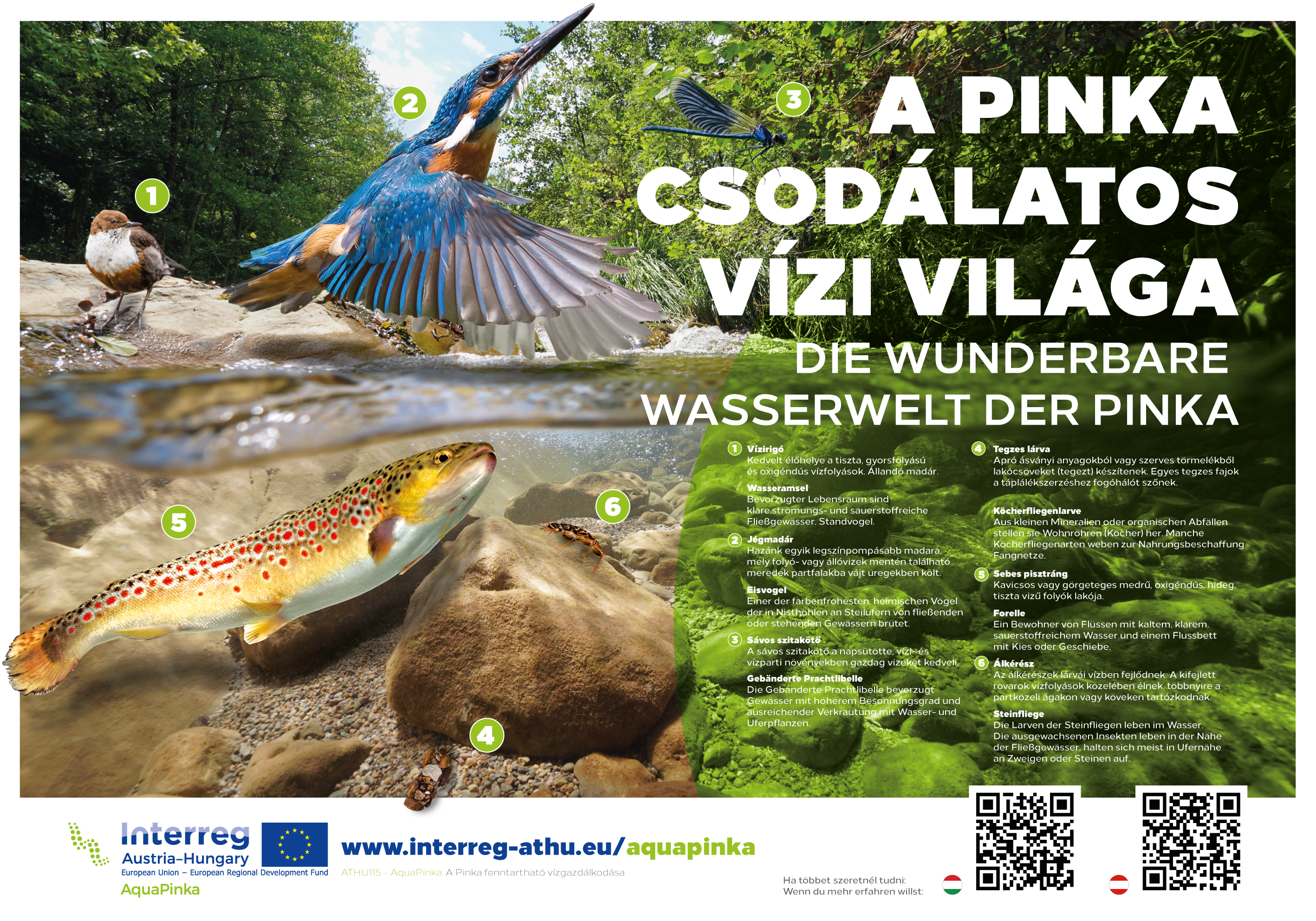 A Pinka Csodálatos vízi világa A Pinka Csodálatos vízi világa